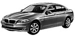 BMW F10 P21CD Fault Code